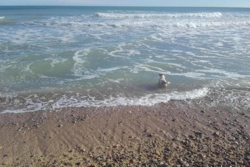 Apartamentos Tamarindos Peñiscola 3 SUPERIOR B - foto 26