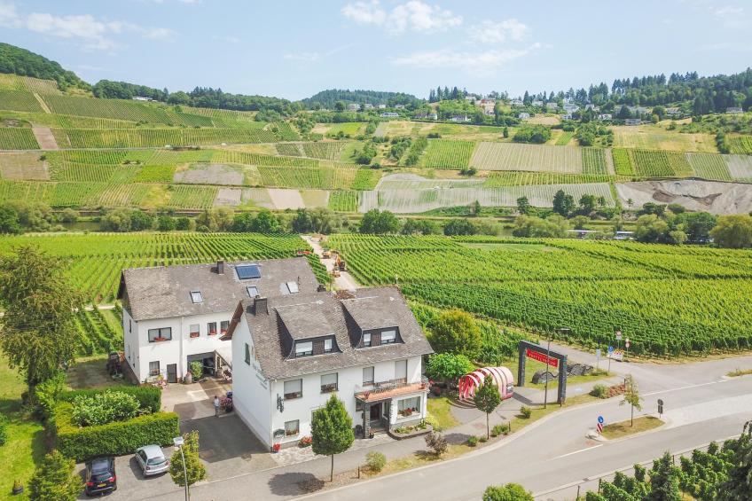 Hermes-Lex Weingut - foto 17