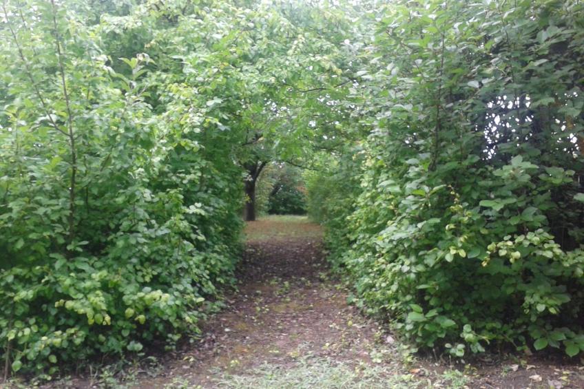 mit Garten, Terrasse und Gartenpavillon - foto 21