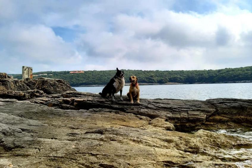 in Bratulići mit Privatem Pool - foto 61