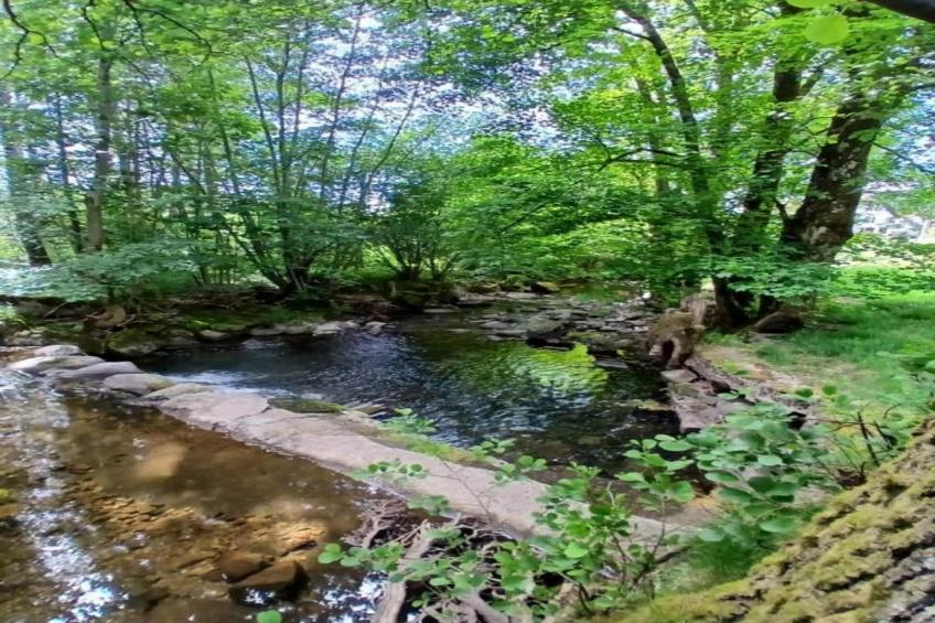 Chalet l'Aigle - Saint-Maurice-sur-Moselle - foto 30