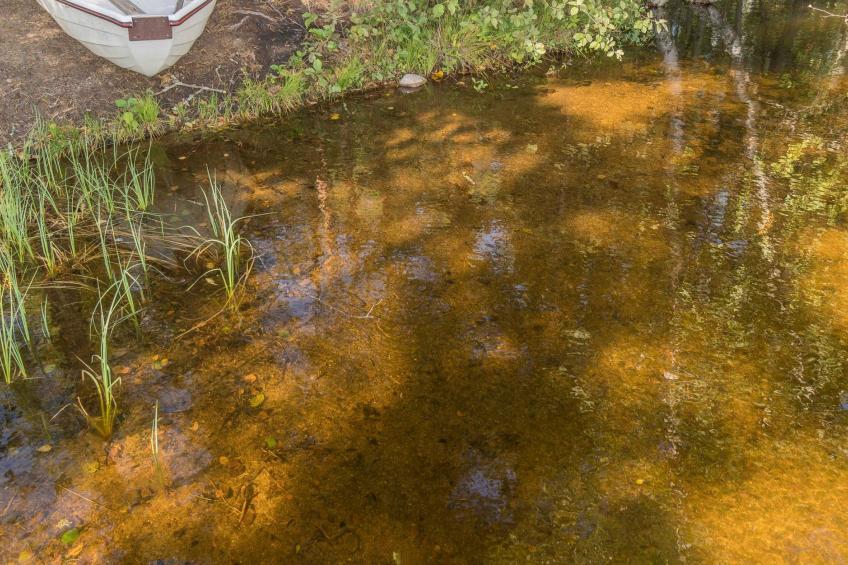 Valkealammi - foto 5