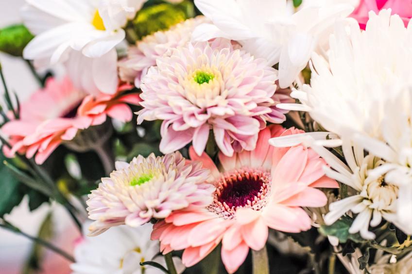 Fishertown Apartment 1st Floor - foto 14