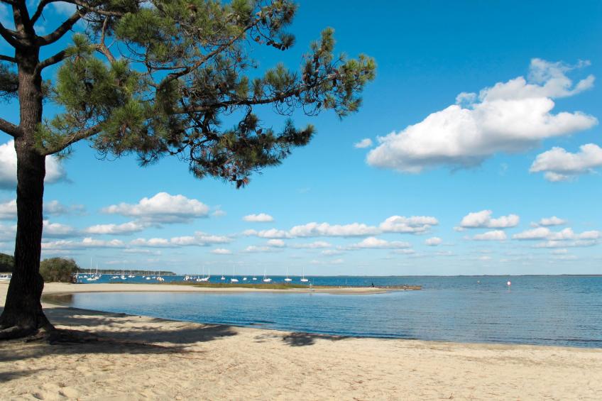 Les Cavales - foto 37