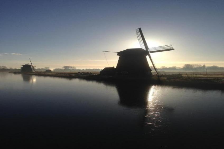Parel aan de Duinen 6p - foto 40