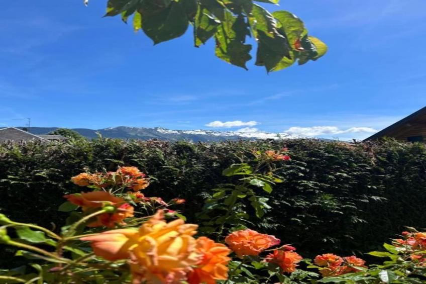 La Ferme de Noémie - foto 26