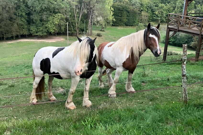 Le Mas dAmour - foto 43