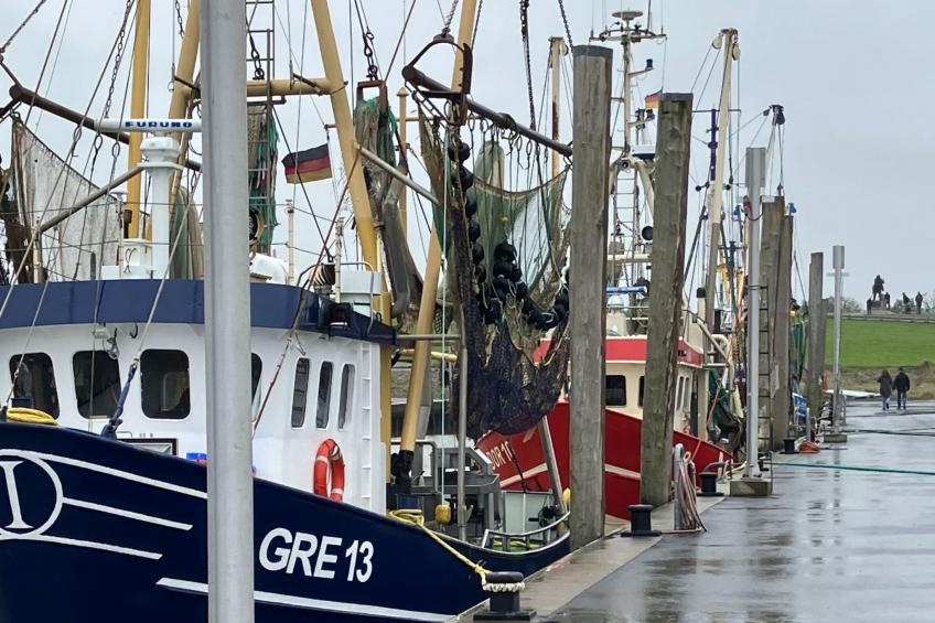 Ferienhuus Nordsee - foto 35