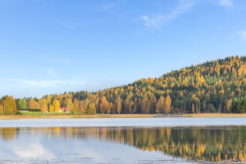 Viehko, mustosen lomamökit - foto 36