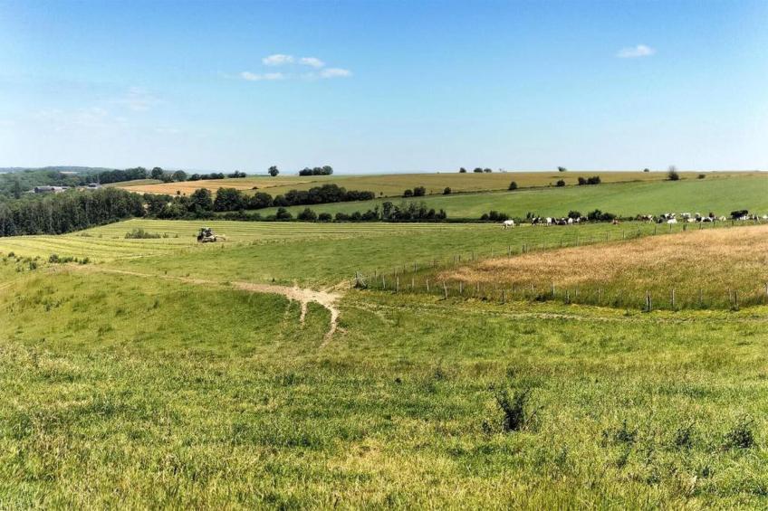 HORTENSIAS - foto 23