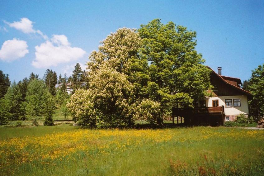 Landhaus Graf - foto 7