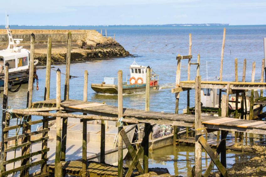 Maison à Saint-Gilles-Croix-de-Vie - foto 28