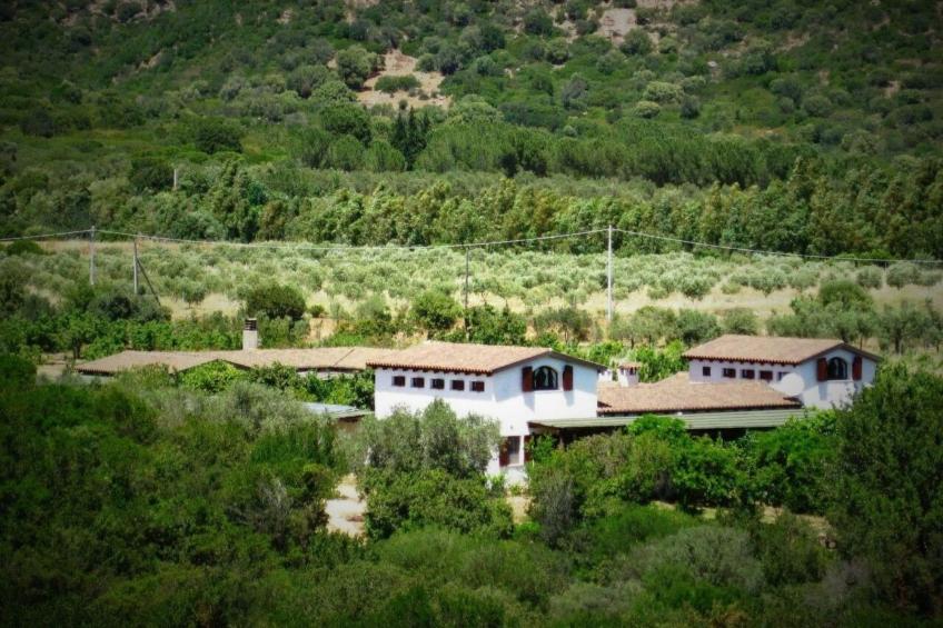 Natur, ökologische Nachhaltigkeit, nur für Erwachsene, Meer in der Nähe - foto 9