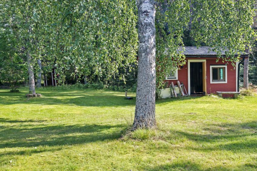 Merenkurkku - foto 30