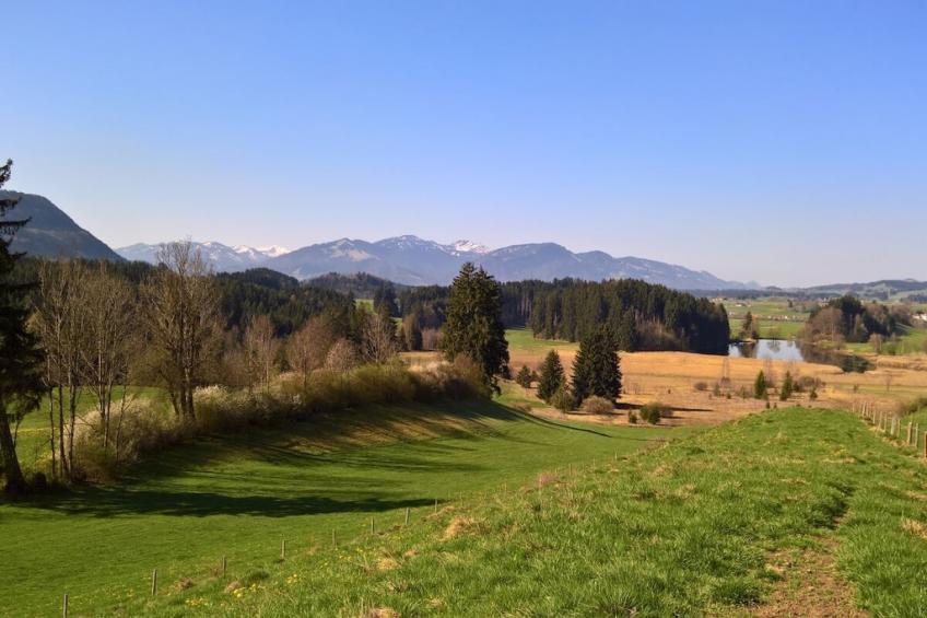 575938 - foto 35