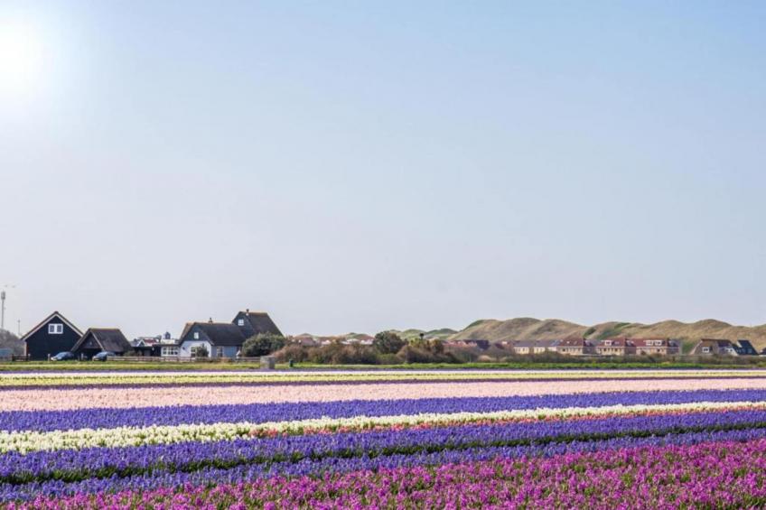 Strandslag 223 - foto 17