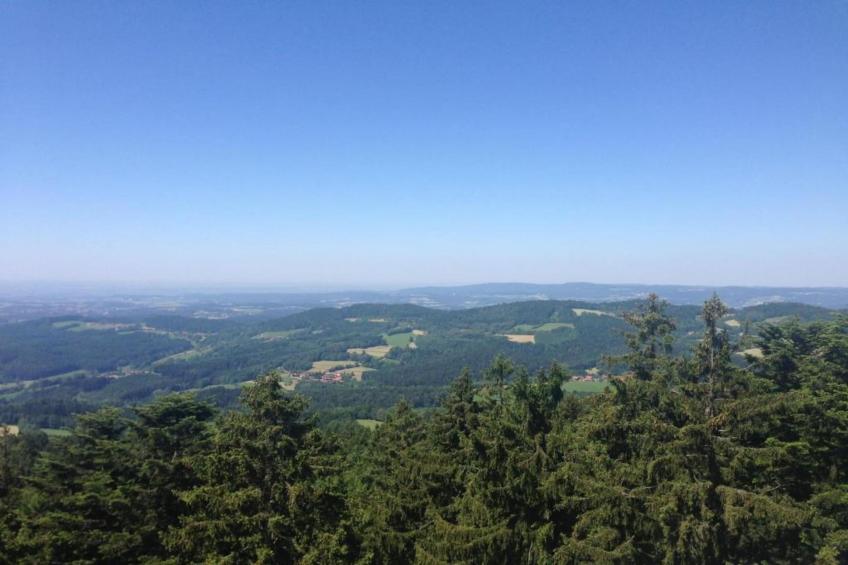 Feriendorf Waldbrunn - foto 36