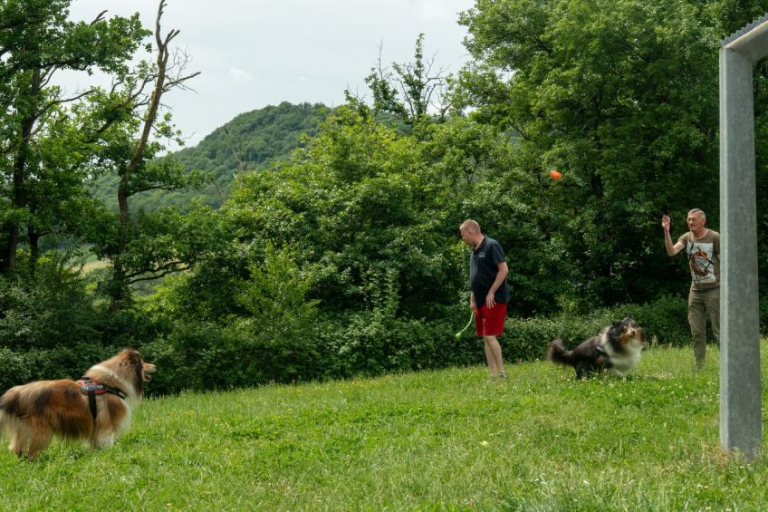 La Lune 6p - foto 29