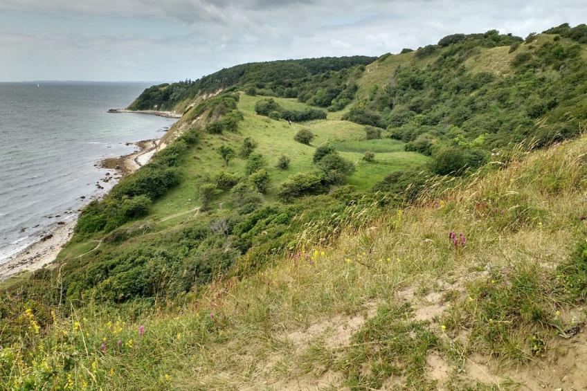 "Miona" - 725m from the sea in Sealand - foto 10