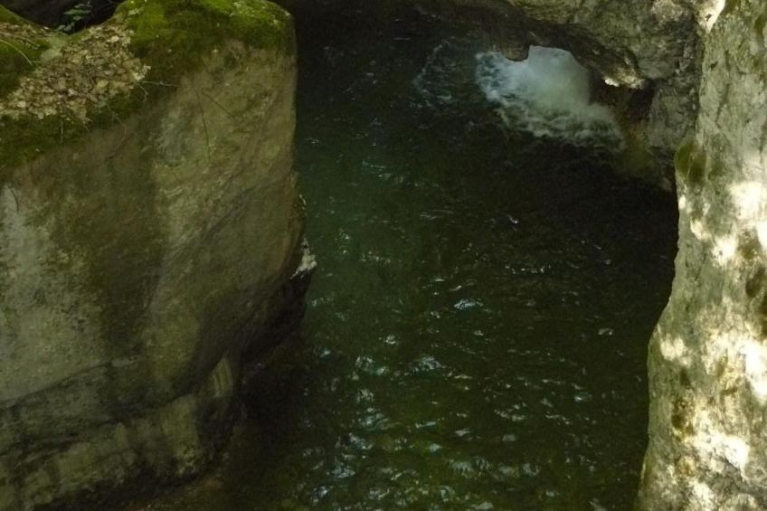 "Au Crêt du Bois" (Auf dem Wald) - foto 20