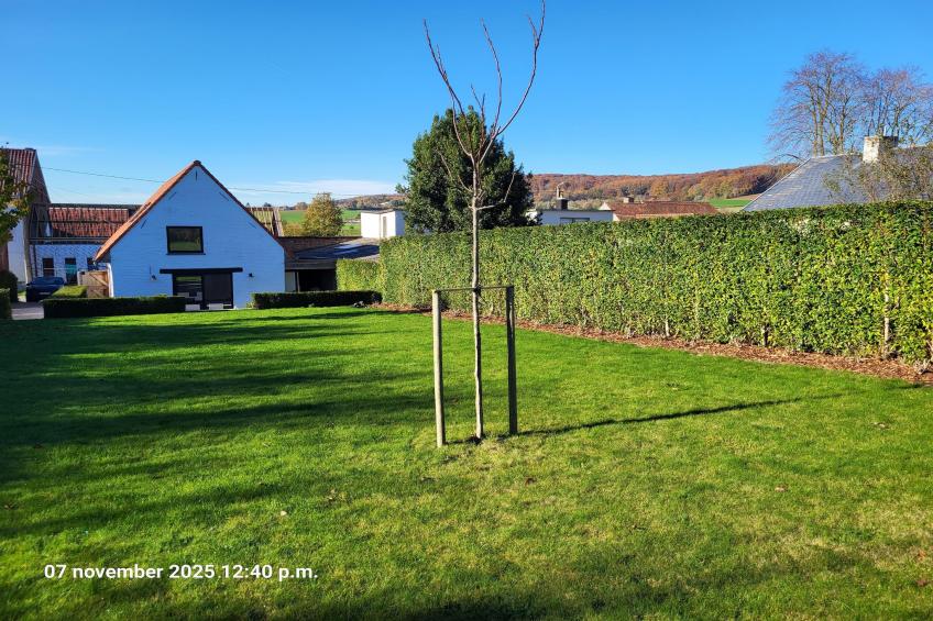 Maison Au Trieu - foto 30