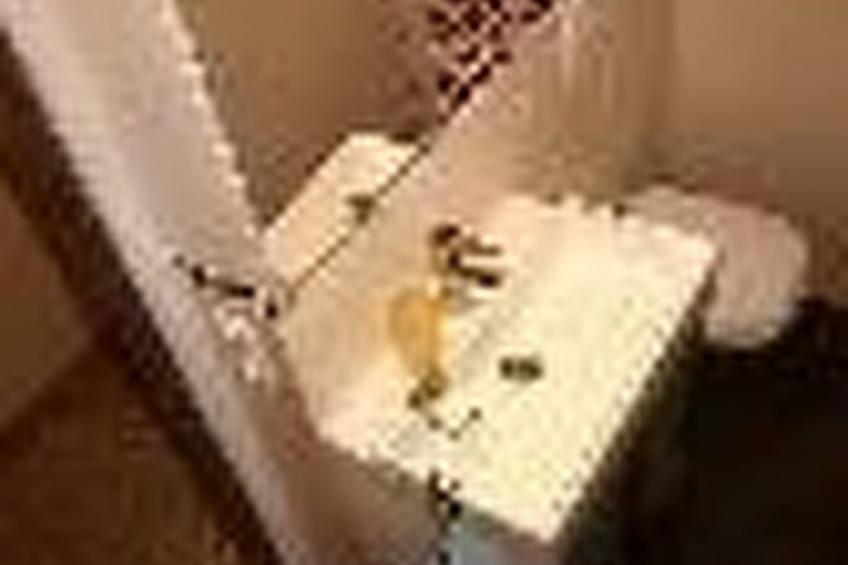 Fewo "Jut Stuff" - foto 25