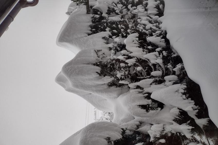 Pfaffenwinkel - foto 17