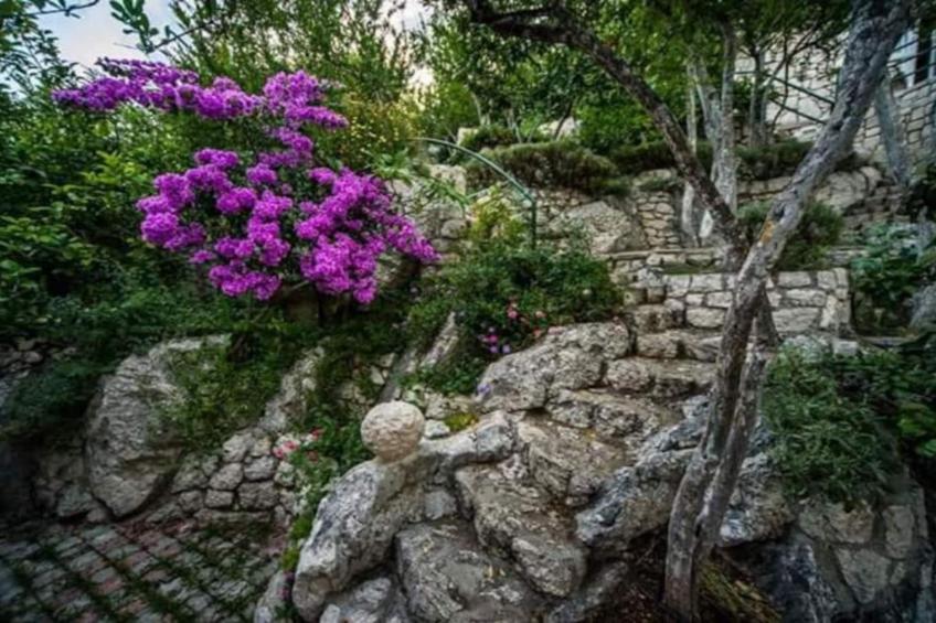 One-Bedroom Apartment With Lake View - foto 28