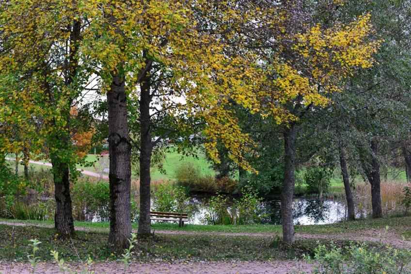 Appartement Seestern - foto 19