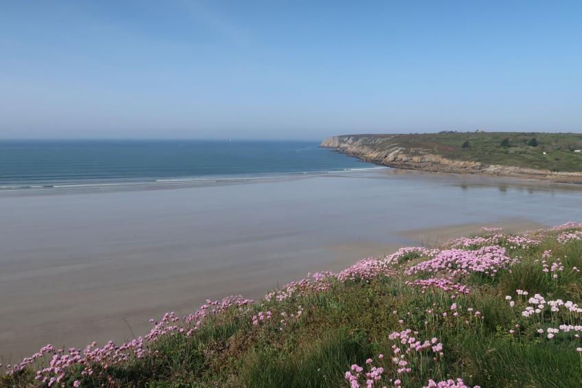 "Les Hortensias" (Die Hortensien) - foto 32