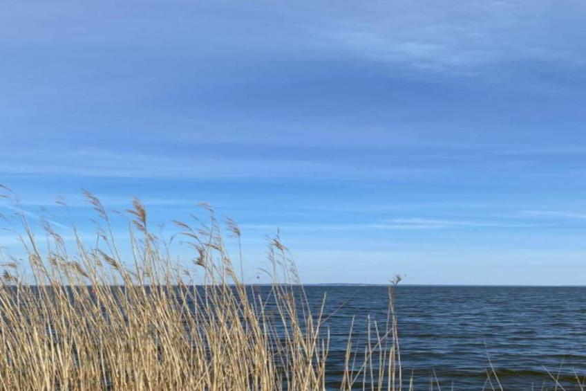 Schlafen unter Reet - Naturhof - Ahlbeck am Haff / Nr 1 - foto 31