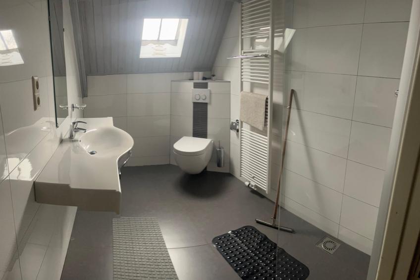 De Biezenpolder - foto 40