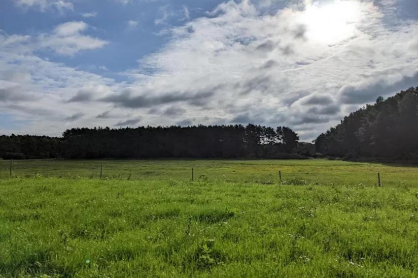 Vakantiedorp am Weinberg, Dobbrikow - Type A - foto 17