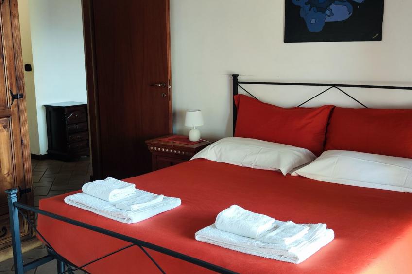 Vergissmeinnicht - foto 10