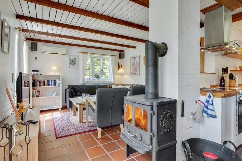 "Minja" - 900m from the sea in NW Jutland - foto 30