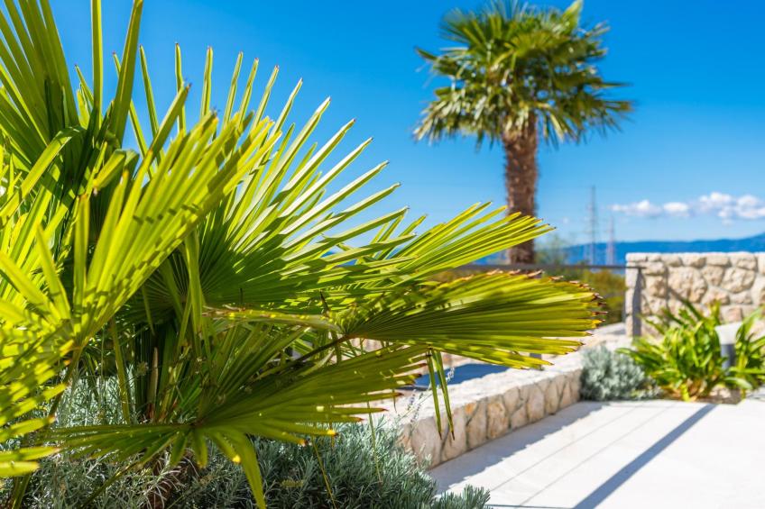 Villa "Maria" mit Garten, Grill und Terrasse - foto 9