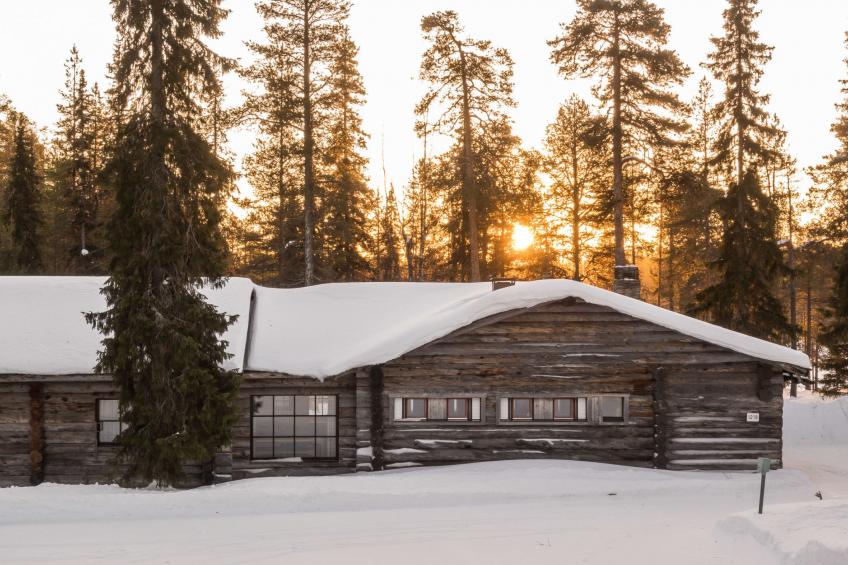 Metsä-luosto - foto 20
