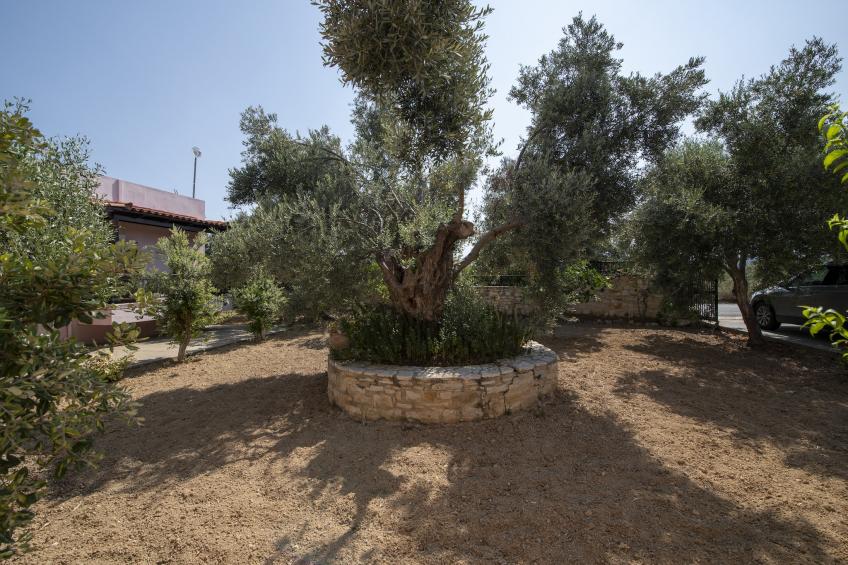Villa Afroditi - foto 27