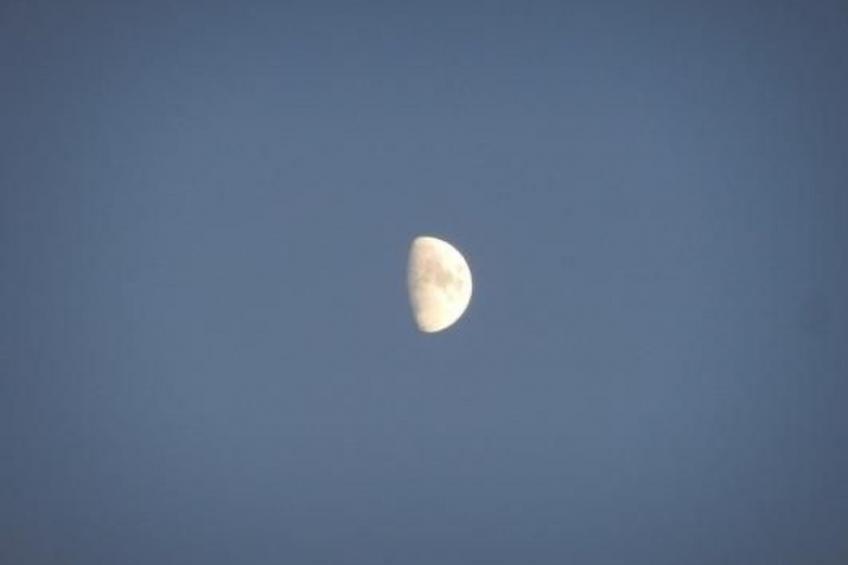 Eifelcottage Rehwiese - foto 21