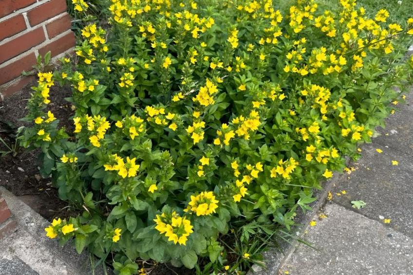 Ap. NeuenHOUSE I - foto 24