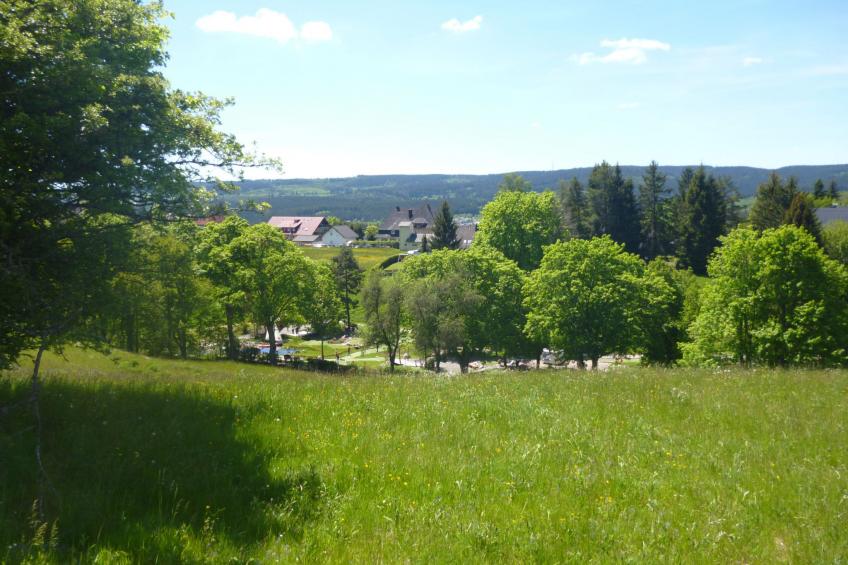 Luxus-Appartement in Kappel - foto 33