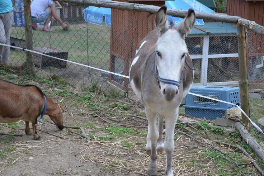 mit zwei Schlafzimmern und Balkon - foto 21