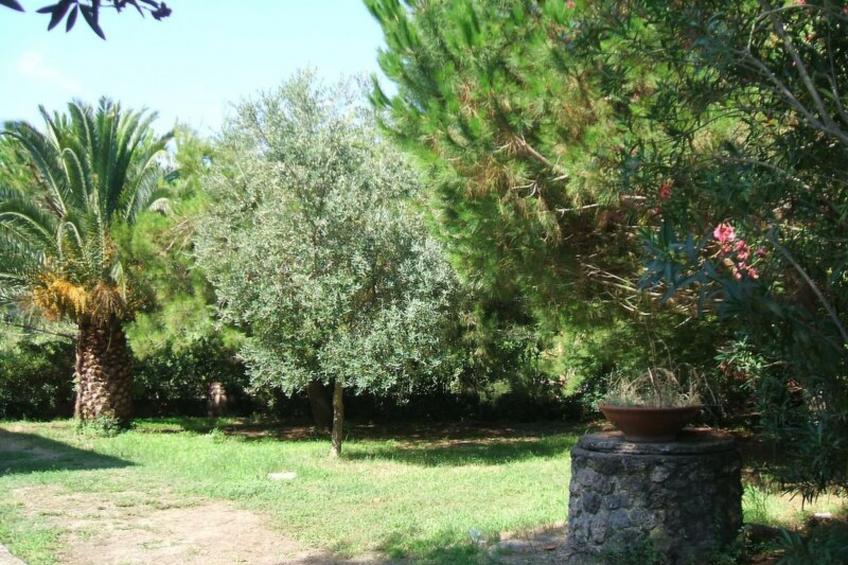 Holiday Home Giannella - foto 14