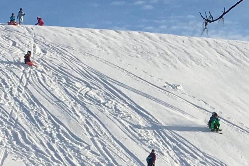 Alpakahof Ferien - foto 42