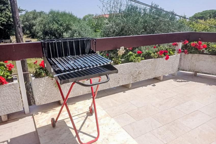 La terrazza di Colle Marino - foto 11