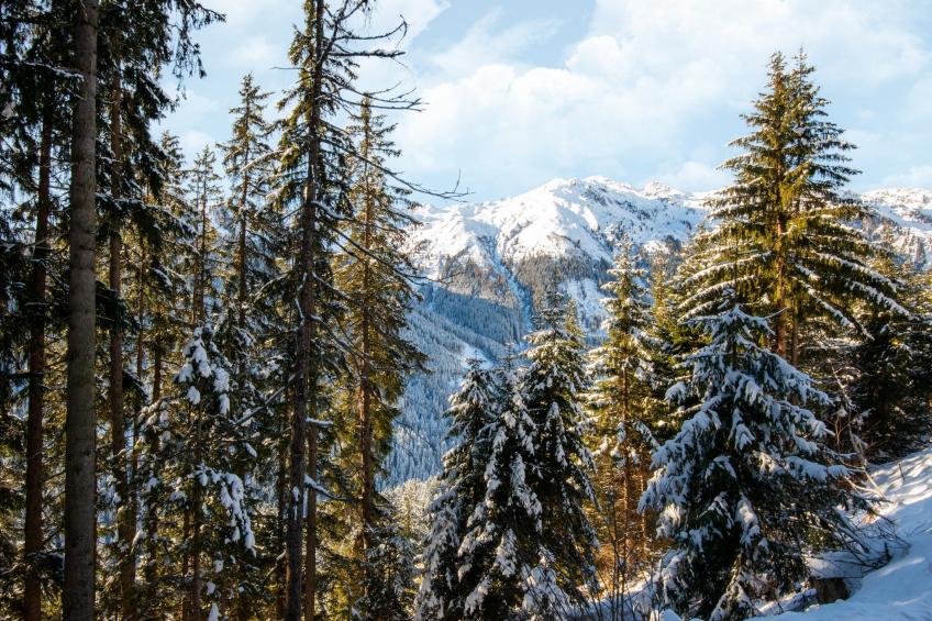 Almhütte Nase - foto 29