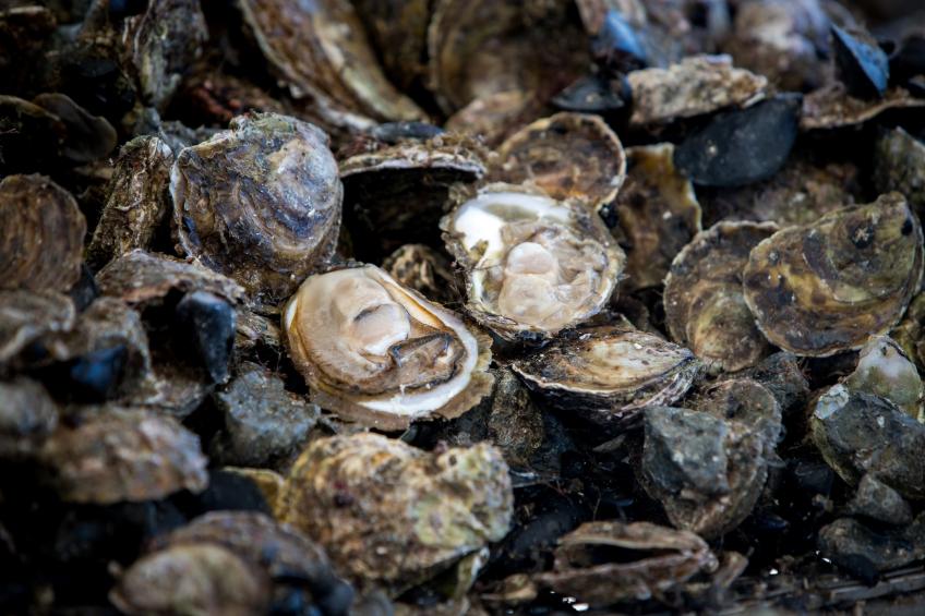 Holiday Home Monika - Two Bedroom Holiday Home with Terrace and Sea View - foto 30