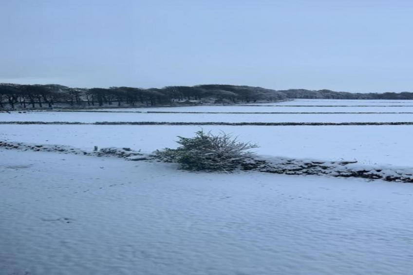 The Old Post Office Apartment 2 - foto 40