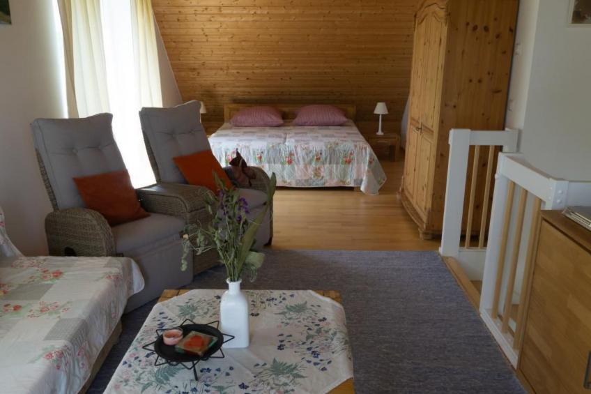 Schmetterling - foto 12