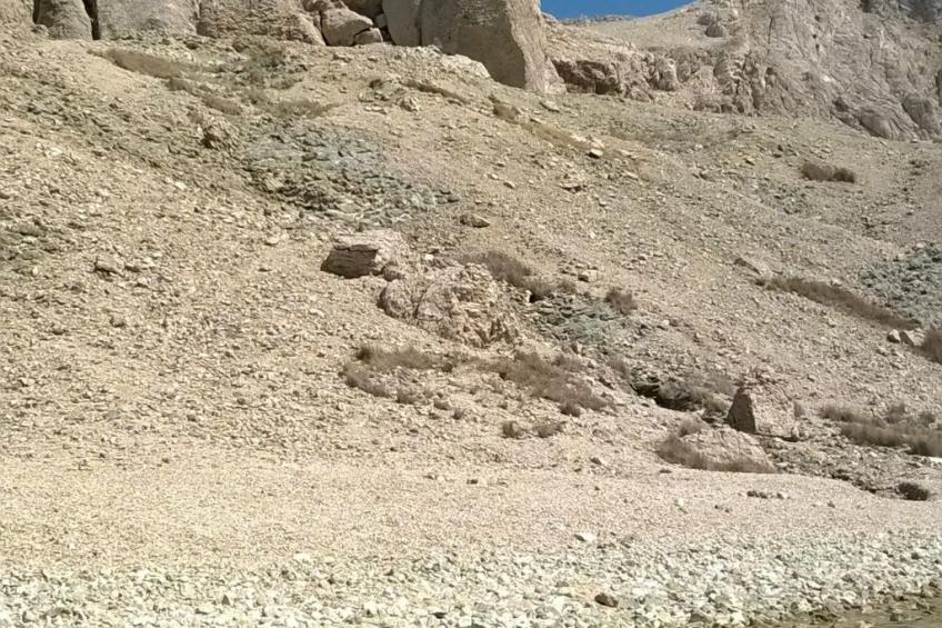 Apartment mit Meerblick - foto 31